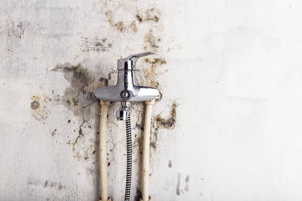  Salem, NC Mold Removal Pros