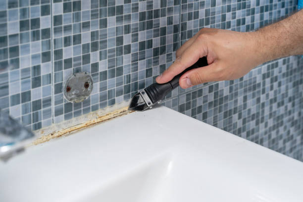 Professional Mold Remediation in Salem, NC