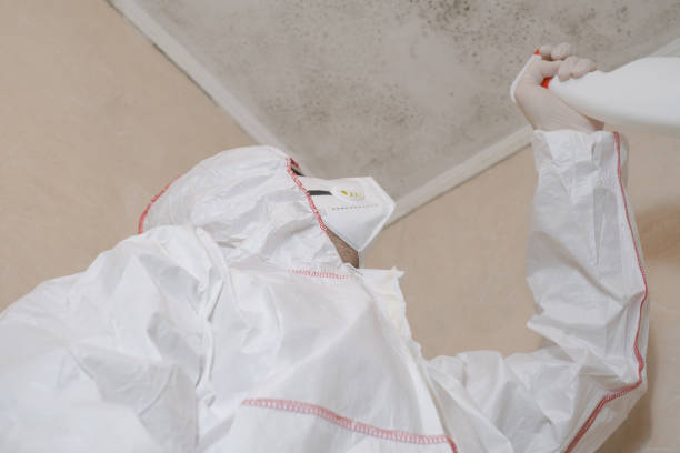 Best Mold Remediation for Schools in Salem, NC