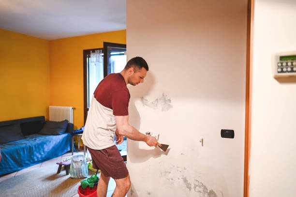 Best Mold Remediation for Schools in Salem, NC